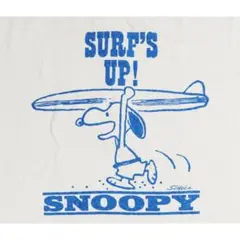 WAREHOUSE PEANUTS SURF'S UP (SNOOPY) - メルカリ