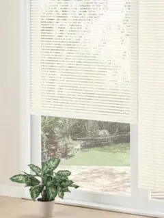 ブラインドカーテン