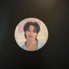 라이브 공연장 전달 가능 Stray Kids 스키즈 리노 캔 배지 5성급