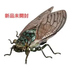 2025年最新】ミンミンゼミの人気アイテム - メルカリ