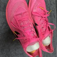 Nike ドラゴンフライ