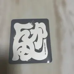 パタゴニア　ステッカー　神田