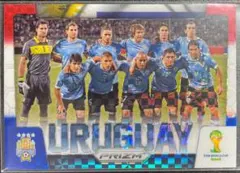 Uruguay ウルグアイ 2014 Panini Prizm WC プリズム