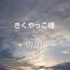 Item thumbnail for item 162cff28-b077-4036-8371-26b38e1db814