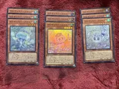 【遊戯王】マルチャミーフワロス 他マルチャミー スーパーレアまとめ