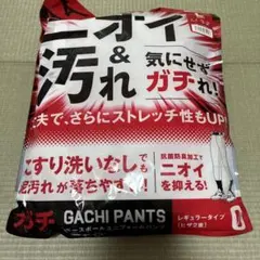 新品未使用　MIZUNO GACHI PANTS レギュラータイプ Lサイズ