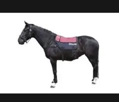 2026年最新】乗馬サドルパッドの人気アイテム - メルカリ