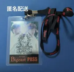 【東方神起 TREE LIVE TOUR 2014 ネックストラップ】