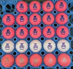 No.96 ウィルソンベア　カラー混合　24球　ロストボールのサムネイル
