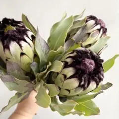 おまとめ商品本日〜明日の深夜に購入します様 リクエスト 5点 まとめ商品