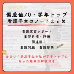 看護学生向け　実習お役立ち　関連図　看護問題　看護師国家試験対策