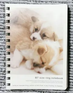 B7 リングノート 犬 4冊セット