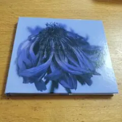 2025年最新】君のために生きていくね 踊ってばかりの国の人気