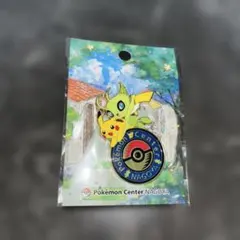 2026年最新】ポケモンセンター ナゴヤ ピンズの人気アイテム - メルカリ