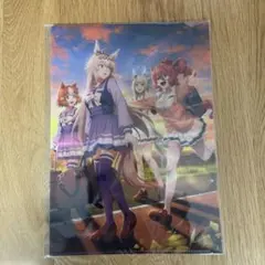 ウマ娘　シンデレラグレイ　A4クリアファイル　非売品