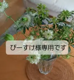 ぴーすけ様専用ページです