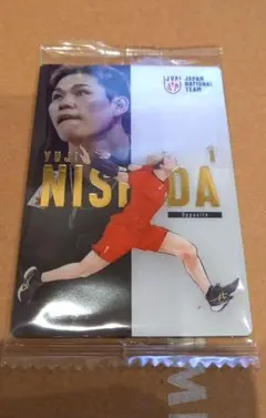 【未開封】バレーボール 日本代表 西田有志&甲斐まさと カード