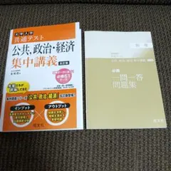 大学入学共通テスト 公共、政治・経済 集中講義 五訂版