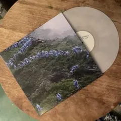 COURTNEY BARNETT コートニー バーネット End of LP