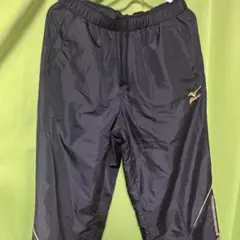 （かず 様専用）Mizuno ピステウェア