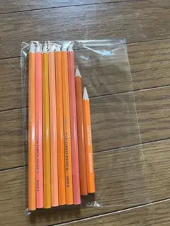 Item thumbnail for item be0a0c7a-7b63-4b31-849a-811cf4937e71