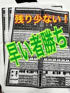 Item thumbnail for item 44b9545f-defd-4ec6-b347-f4b4462e0cd0