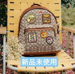 ★未使用品DISNEY X COACH ディズニー創立100周年限定バックパック 27522-213-