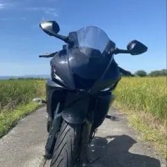 2026年最新】YZF R25 カウル 純正の人気アイテム - メルカリ