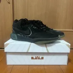 レブロン バスケットボール
