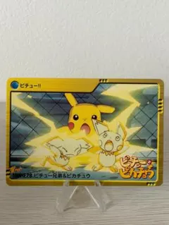 ✨希少✨ポケモンずかんカード ピチュー兄弟 3D ペアカード カードダス