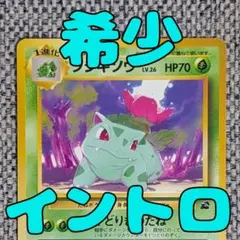 チルコ様 リクエスト 2点 まとめ商品