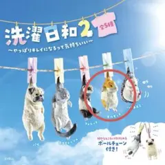洗濯日和2 〜やっぱりキレイになるって気持ちいい〜 モルモット