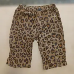BREEZE ヒョウ柄 ハーフパンツ 140