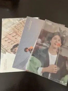 Bloomin' PARK BO GUM クリアファイル 2枚