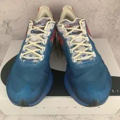 ナイキ ヴェイパーフライ ネクスト% 4 PRM 27.5cm