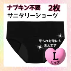 【L】吸水ショーツ ２枚セット ナプキン不要 生理用ショーツ サニタリーショーツ