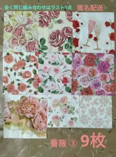 Item thumbnail for item 240d4360-6d6f-4463-ba7f-66b3d9e85d84