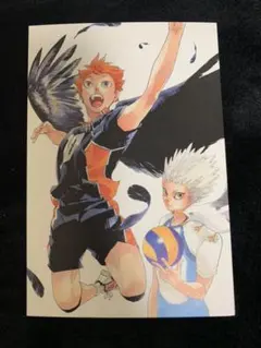 ハイキュー　ハイキュー展　ポストカード　日向　星海