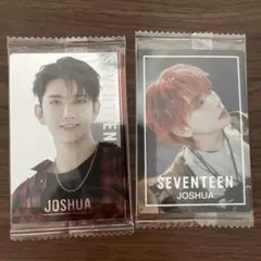 SEVENTEEN ジョシュア トレカ ウエハース 2枚セット