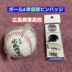 第88回.選抜高校野球大会/甲子園/優勝、準優勝記念ボール 第88回.選抜高校野球大会/甲子園/優勝、準優勝記念ボール 第100回