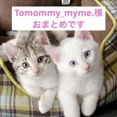 Tomommy_myme.様 リクエスト 2点 まとめ商品