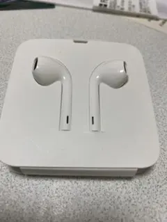 Apple純正イヤホン ライトニングケーブル接続用