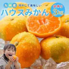 夏だけの贅沢☆九州産 訳あり ハウス みかん 3kg783のサムネイル