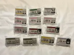 呪術廻戦 名札アクリルバッジコレクション 묶음 판매 七海建人 狗巻棘 パンダ