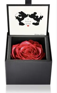 Item thumbnail for item d6164730-5076-4543-b7a6-5fc74aa79535