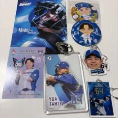 北海道日本ハムファイターズ アクリルピンバッジ3個セット【田宮裕涼