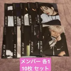 TREASURE LOVE PULSE アルバム 10枚 セット ❹