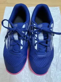 MIZUNO バトミントンシューズ　24.5㎝のサムネイル
