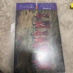 乃木坂クリアファイルセット