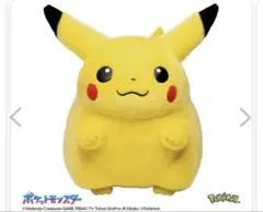 ポケットモンスター ポケモン30周年記念 おかえり！ピカチュウ1/1